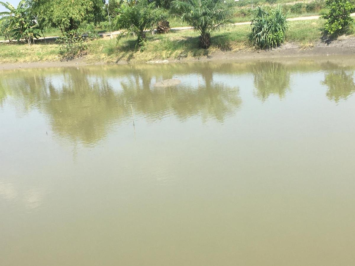 דירות Samut Songkhram Saeng Tai Amphawa מראה חיצוני תמונה